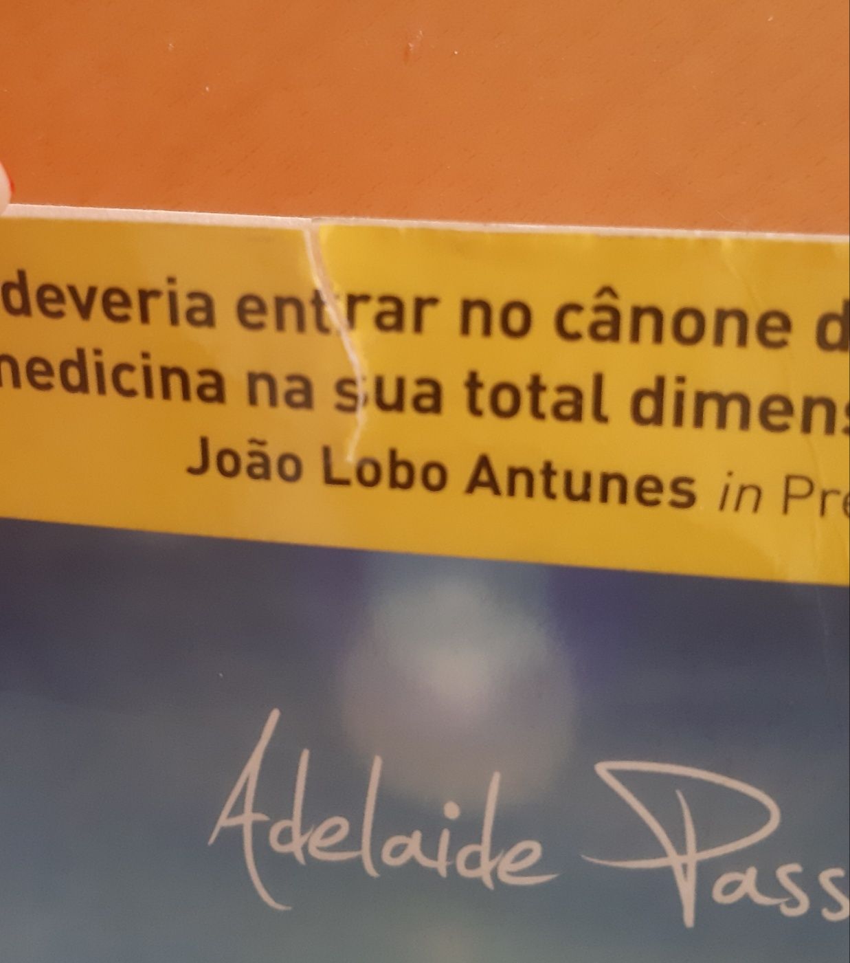 Livro - O céu pode esperar