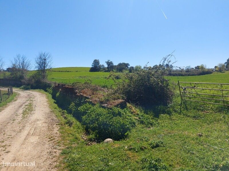Venda Judicial Terreno Rústico Presa-Covinhas Castro Vicente