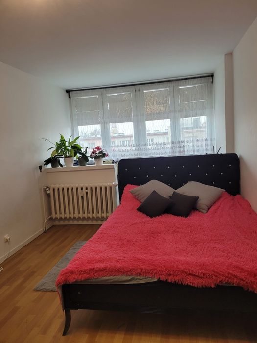 Mieszkanie 2 pokoje do wynajęcia wynajmę na wynajem Ziębice Ziębicach