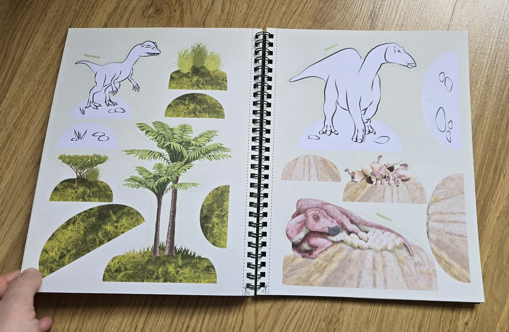 Activity book Динозавры