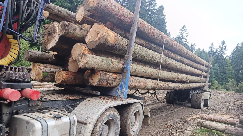 Drewno tartaczne jodła, sosna