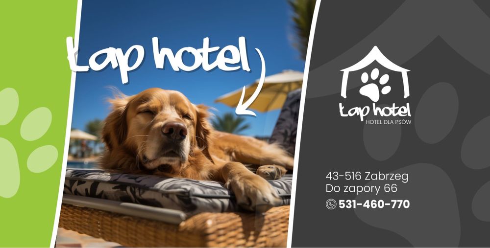 Hotel dla psów miejsce z pasją