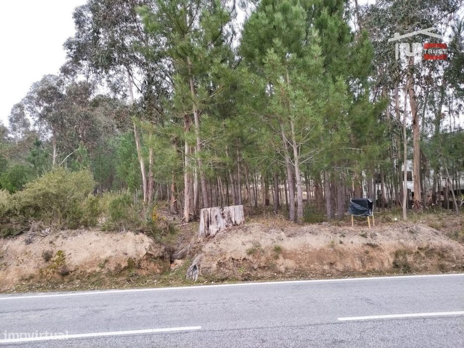 Terreno rústico com viabilidade de construção.