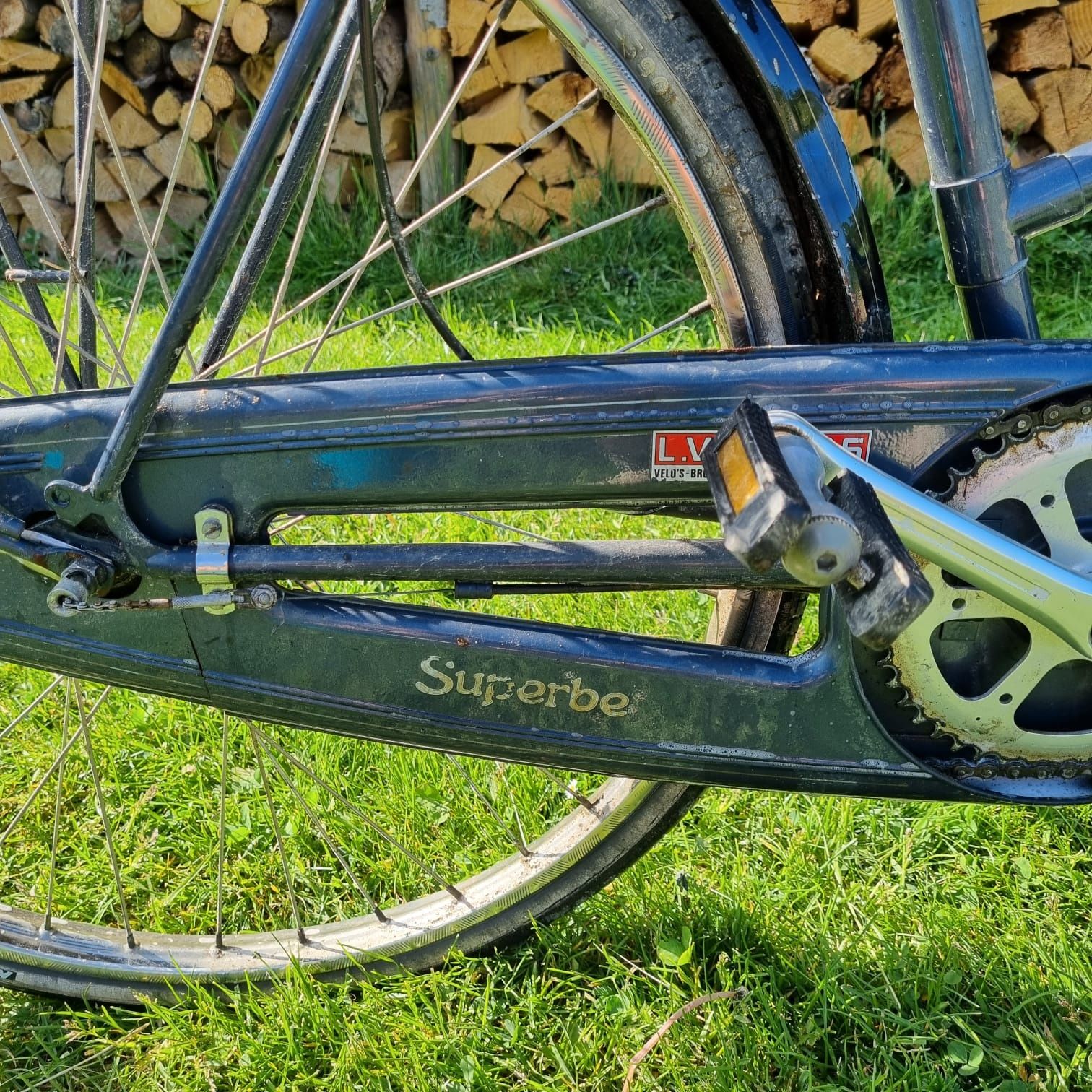 Rower Raleigh damka