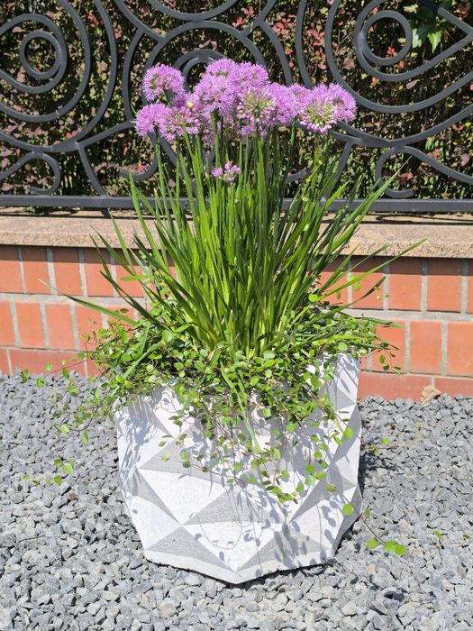 Geometryczna donica betonowa