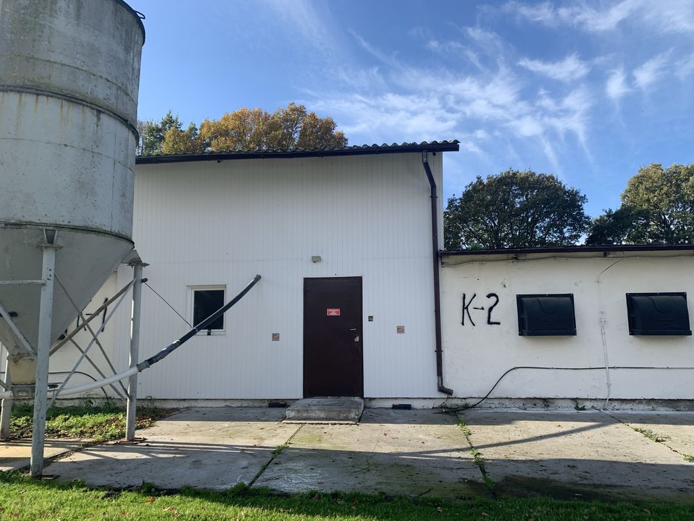 Magazyn , ferna drobiu , garaże , wiaty…
