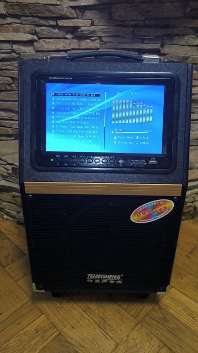 Temeisheng A8-13 80w + экран LCD для караоке.