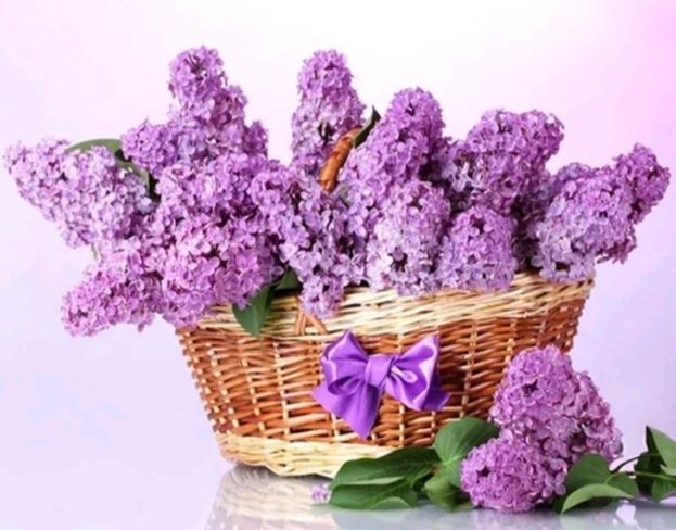 Алмазна мозаїка, вишивка, викладка, картина.  Подарунок