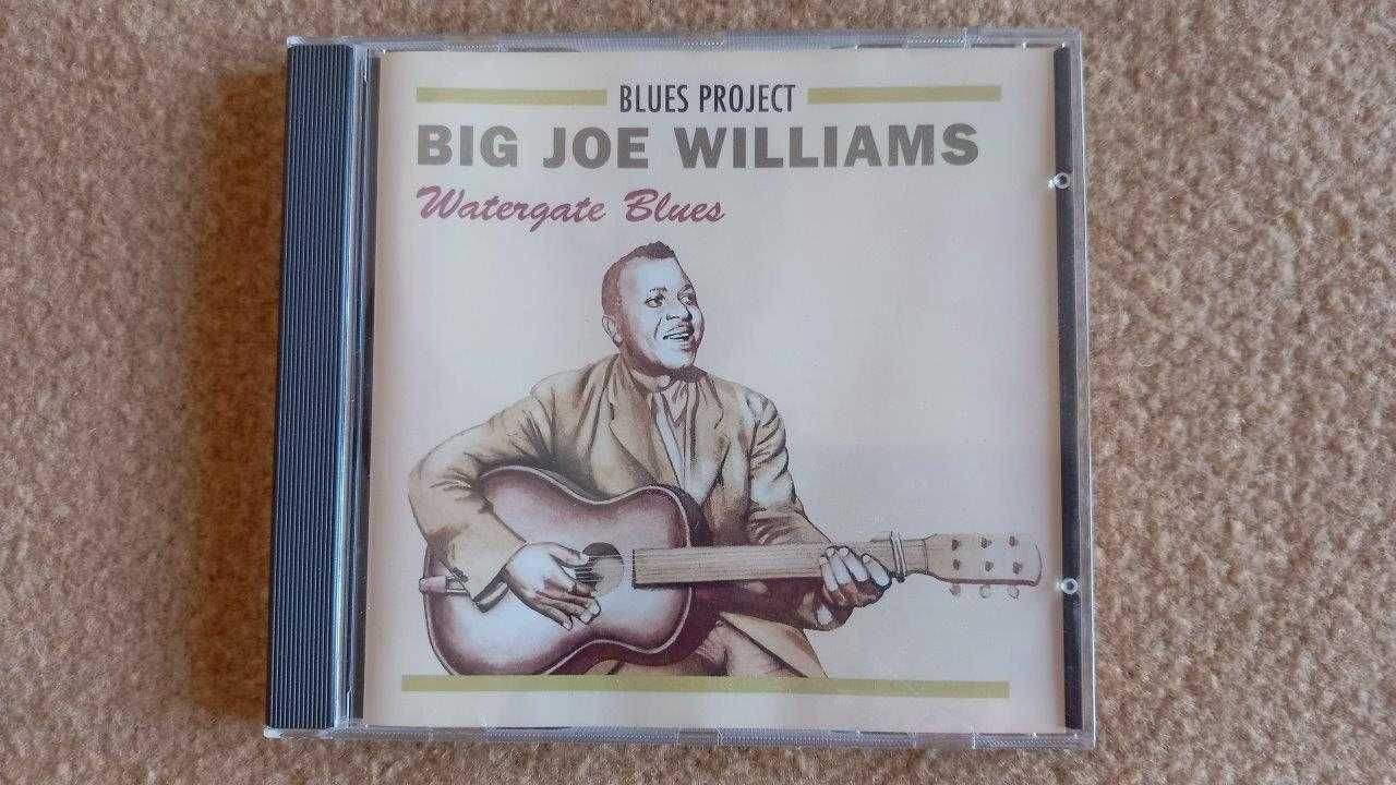 Big Joe Williams - Album: "Watergate Blues"