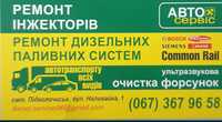 Дизельсервіс.Ремонт форсунок.   ТНВД авто,спец та СГ-техніки.