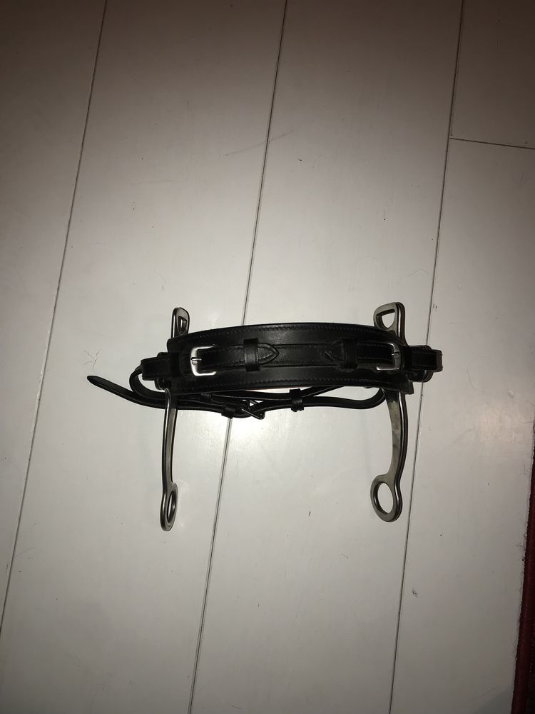 Hackamore Fairfield Full