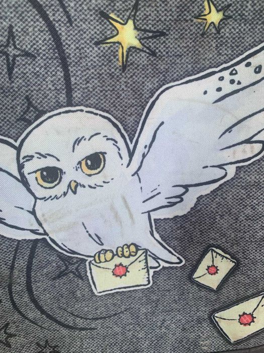 Plecak i piórnik Harry Potter