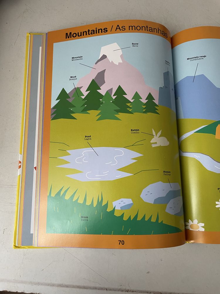 Dicionário visual PT-INGLÊS