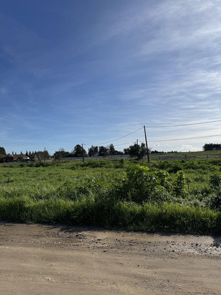 Terreno Rustico Arrendamento