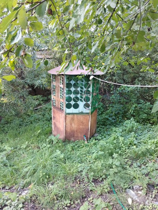 Будинок в Карпатах ( місто Косів)