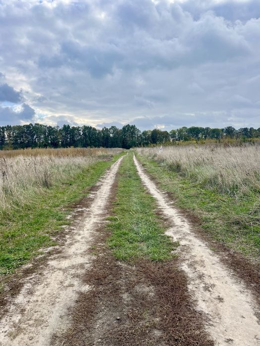 Продаж земельної ділянки в Бохониках!!!