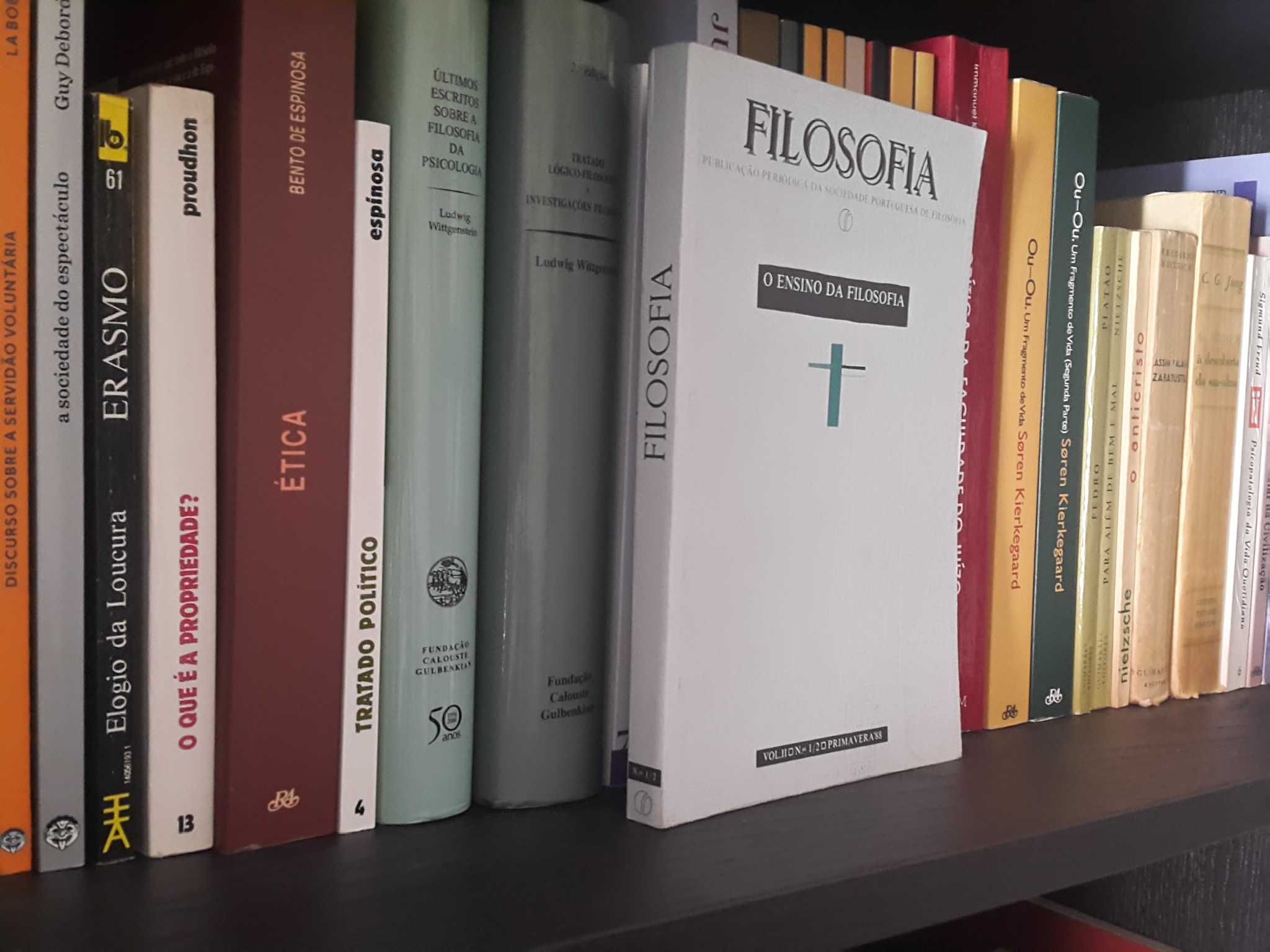 O Ensino da Filosofia (Sociedade Portuguesa da Filosofia)