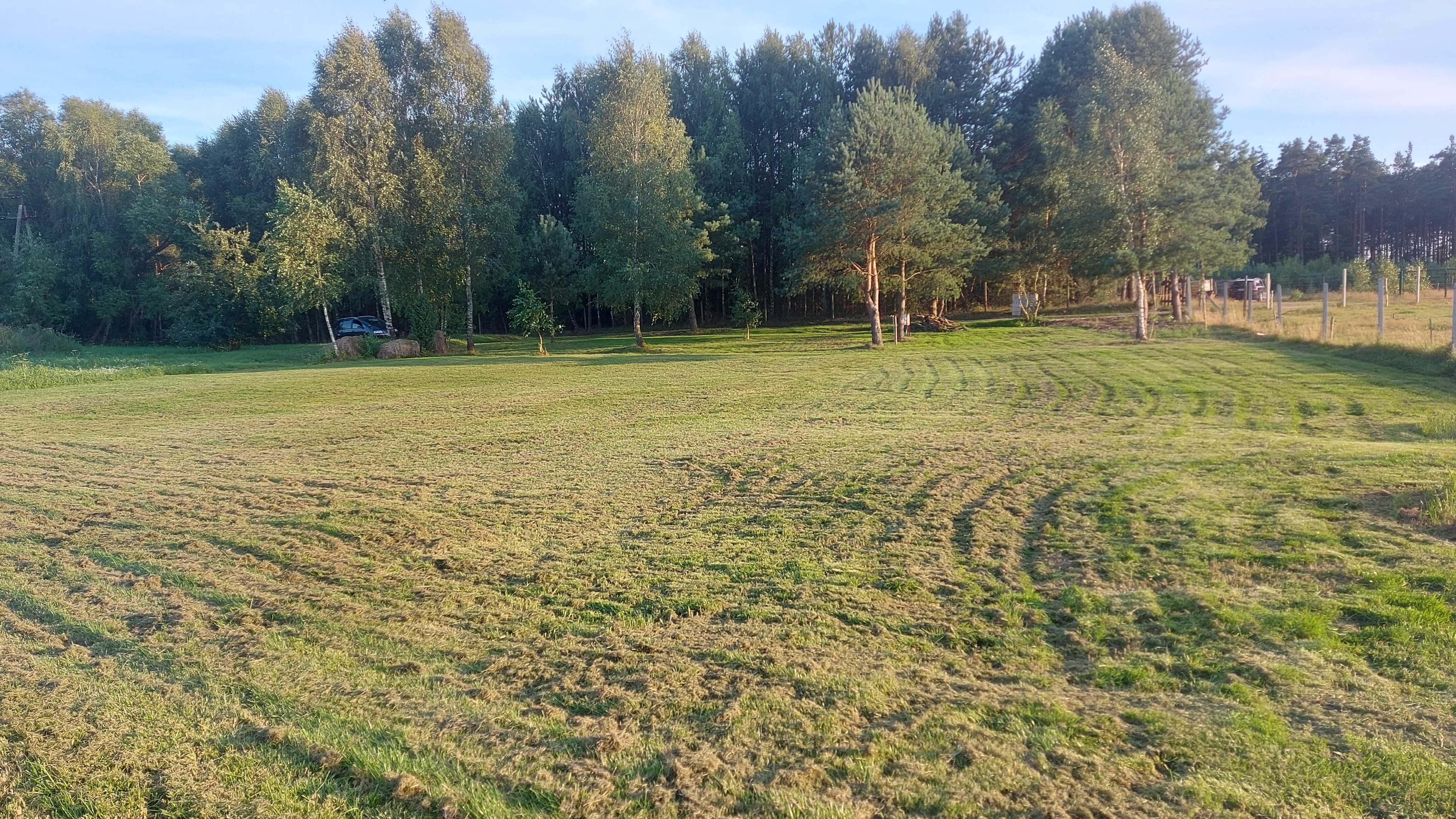 Pole kempingowe Wiele