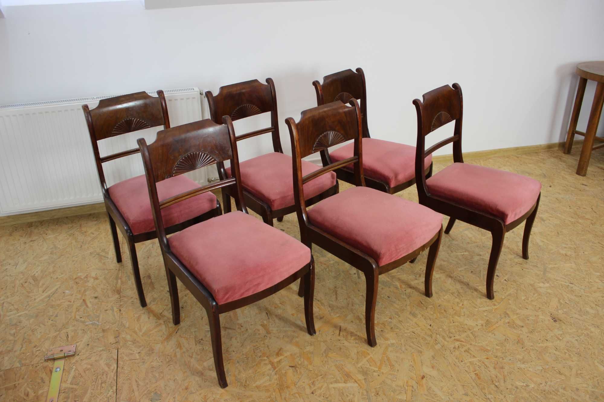 6 szt. krzeseł w stylu Biedermeier / Henryków / antyki / mahoń