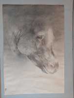 Koń - szkic ołówkiem, 57 x 84cm