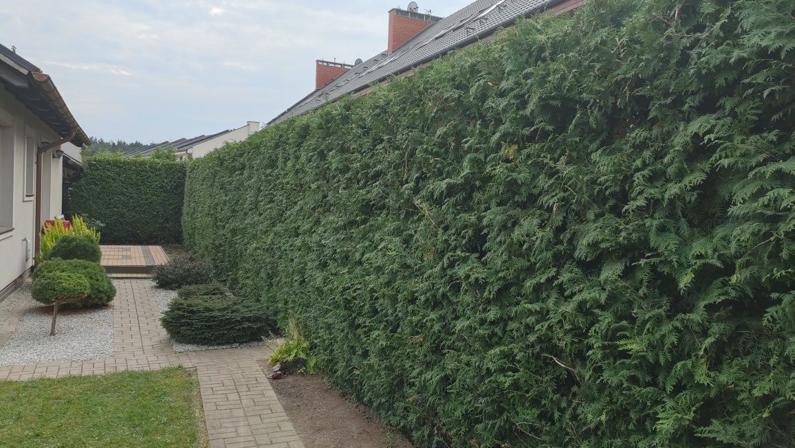 Pielęgnacja/zakładanie ogrodów, wertykulacja,usługi miniładowarką