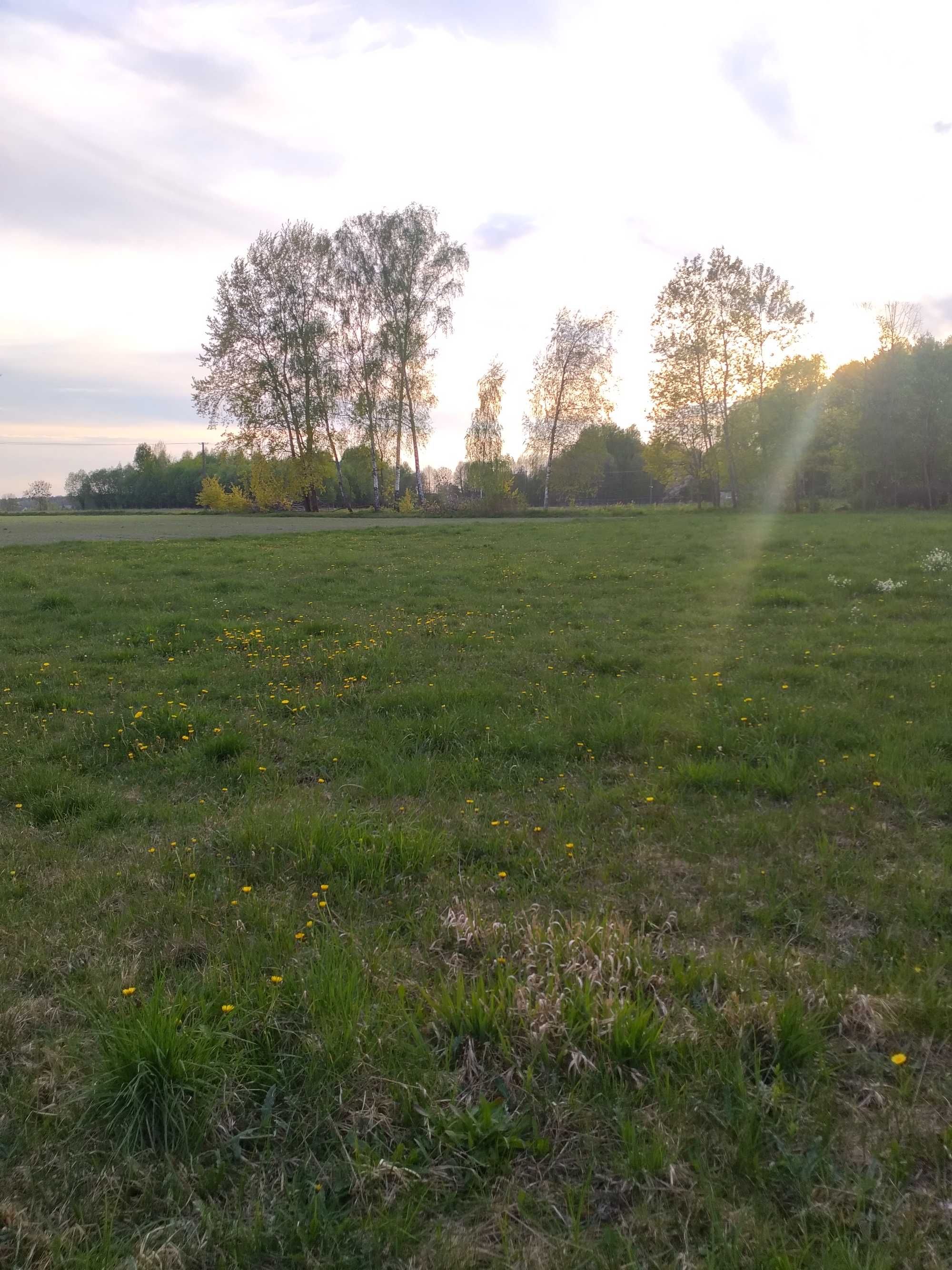 Działka rolna Rafałówka z możliwością uzyskania w. zabudowy na z. zag.