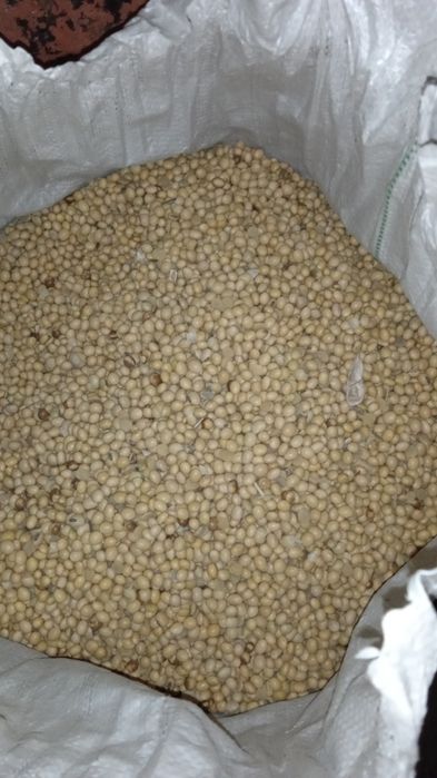 Продам сою врожай 2024
