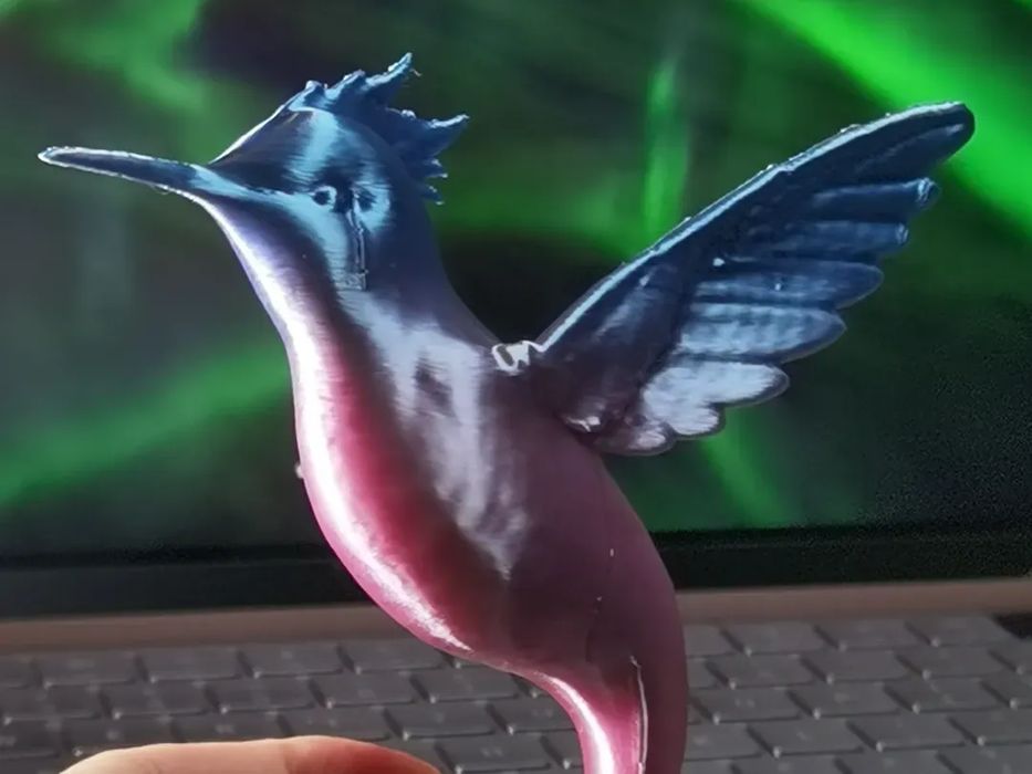 Criatura Misteriosa: Peixe Pássaro Voador