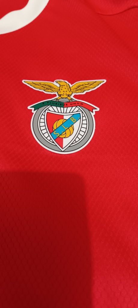 Camisola oficial Benfica futsal Afonso