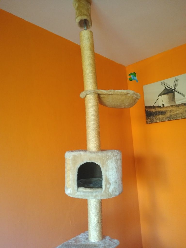 Drapak dla kota wysoki 2,5m