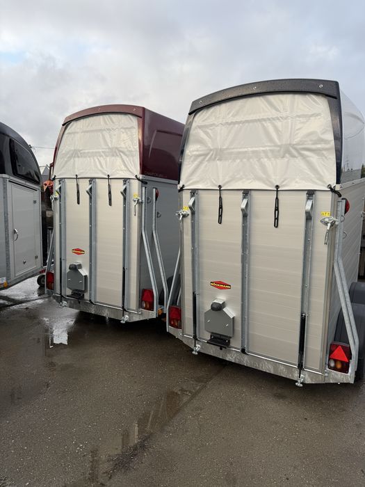 Boeckmann UNO JEDNOKONNA 1 konna kat B