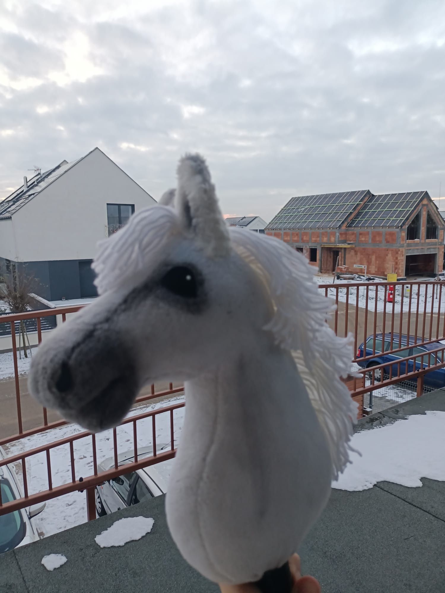 Mały hobby horse na sprzedaż