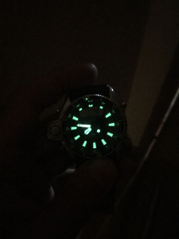 Citizen Promaster diver