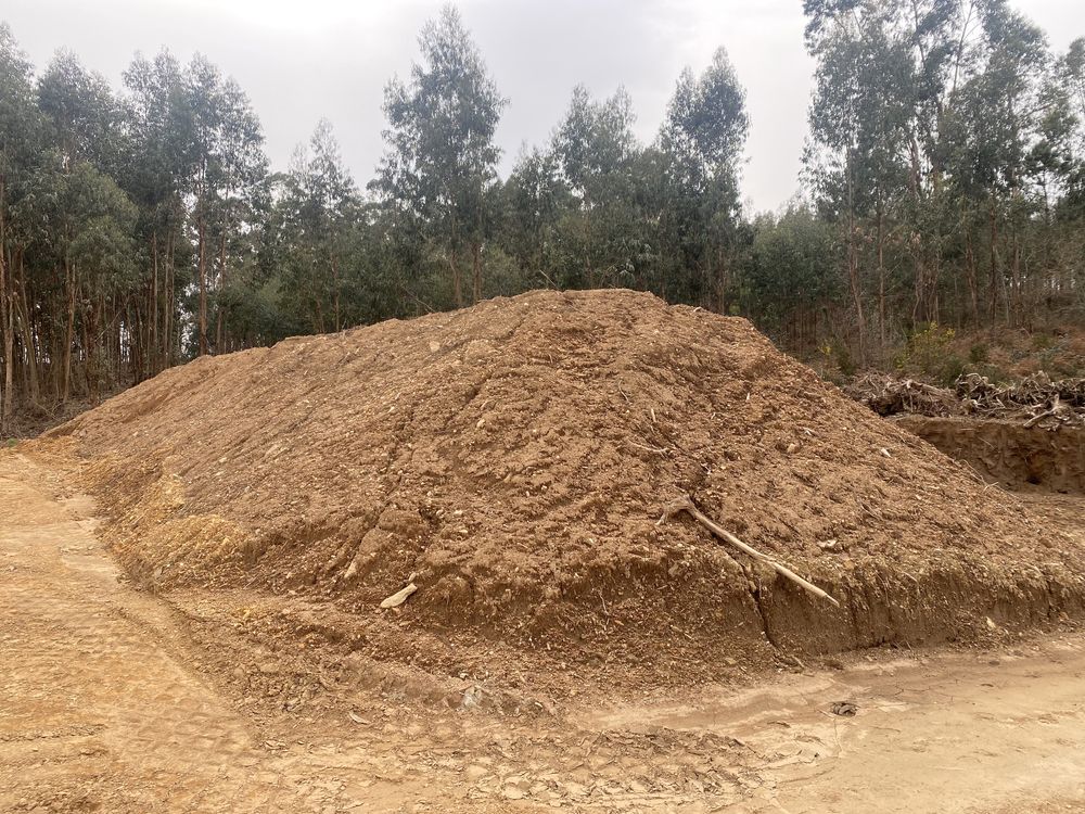 Terra preta vegetal para jardim