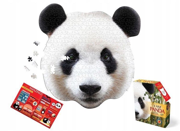 Puzzle konturowe miś panda 550 el Madd Capp