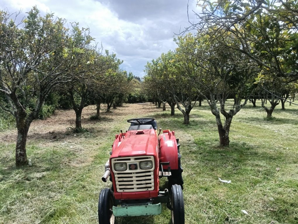 Vendo tractor Yanmar 15 CV tração simples  com fresa