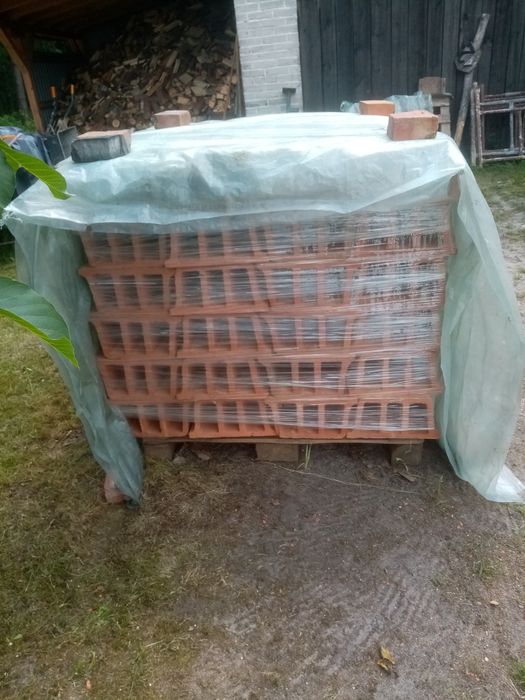 Pustaki I stropowe ackerman