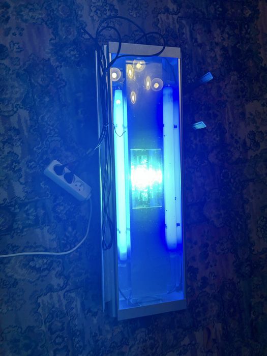 Lampa HQI do akwarium