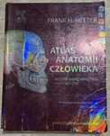 Anatomia Nettera