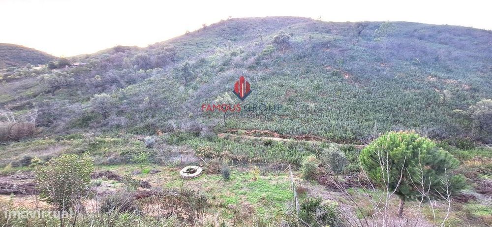 Terreno Rústico com recursos naturais, Marmelete