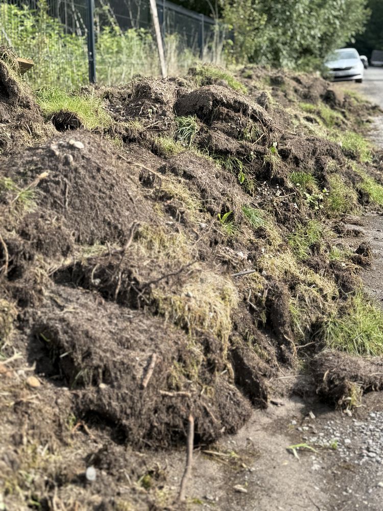 Humus Oddam za darmo Ziemie po wycięciu trawy z ogrodu 340m2