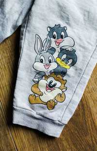 Spodenki dresowe Looney Tunes rozm. 68-74