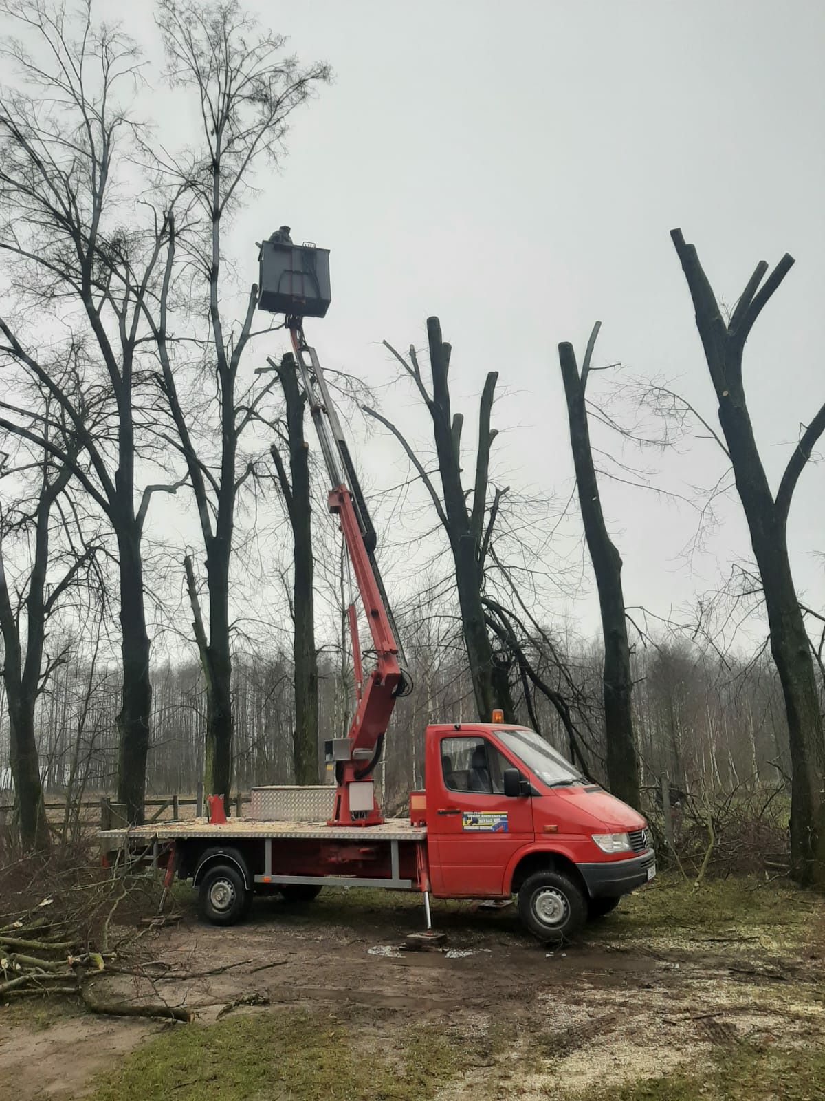 Wynajem.podnośnik koszowy.zwyżka usługi ALPINISTYCZNE wycinka drzew