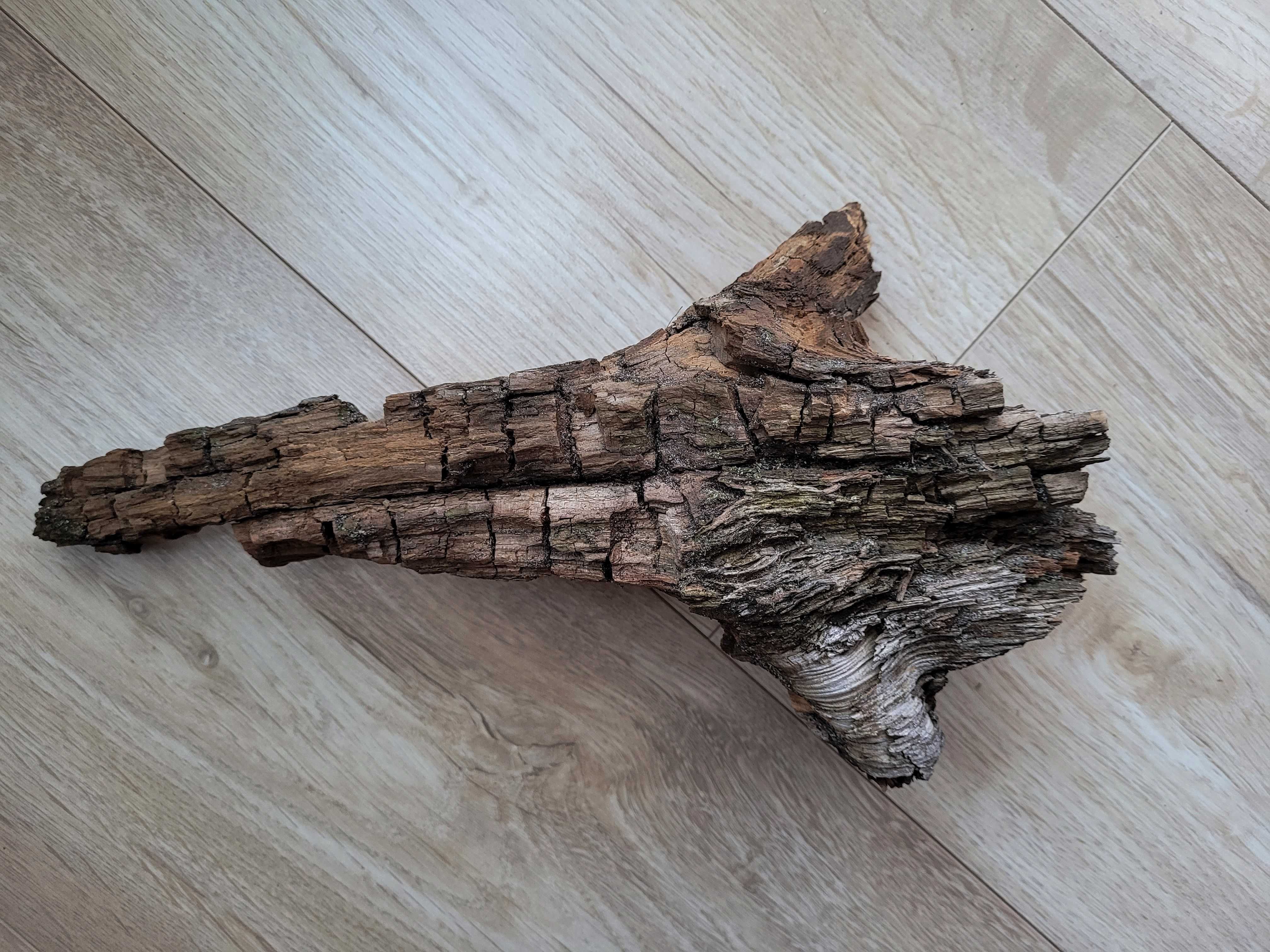 Korzeń naturalny korzeń dł. 28 cm do akwarium terrarium