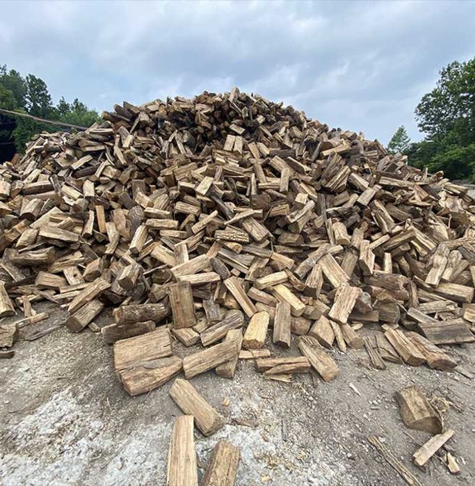 Serviços de Jardinagem, Topiária, construção civil e pintura,