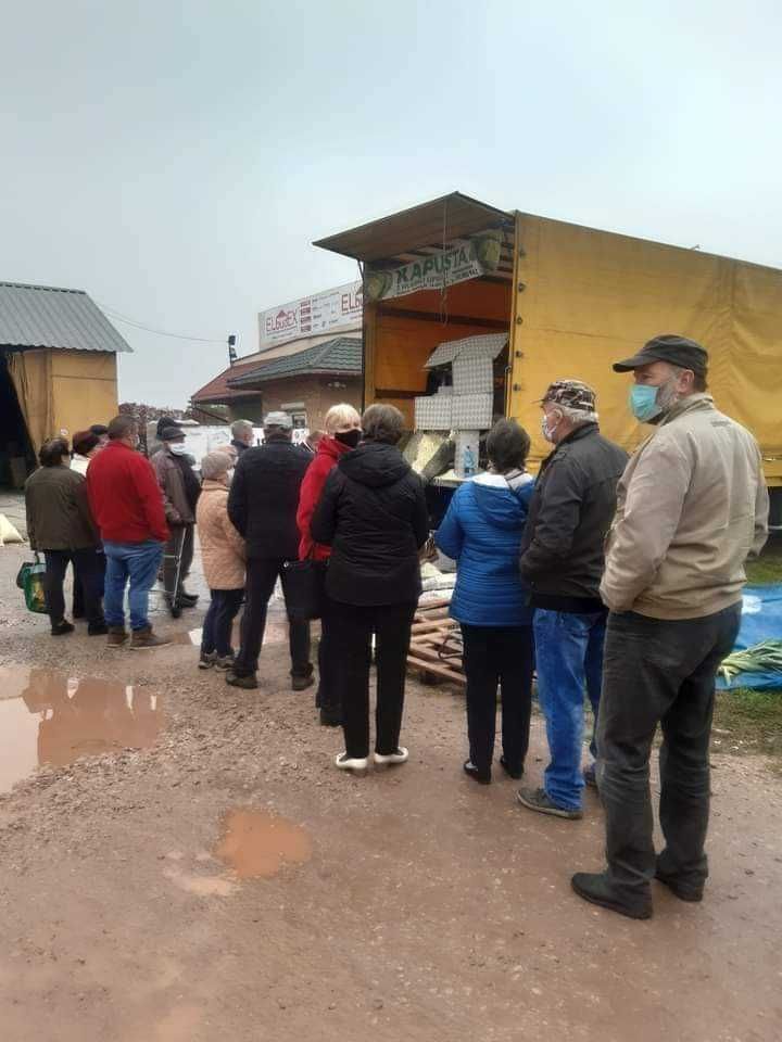 Kapusta szatkowana z własnej uprawy