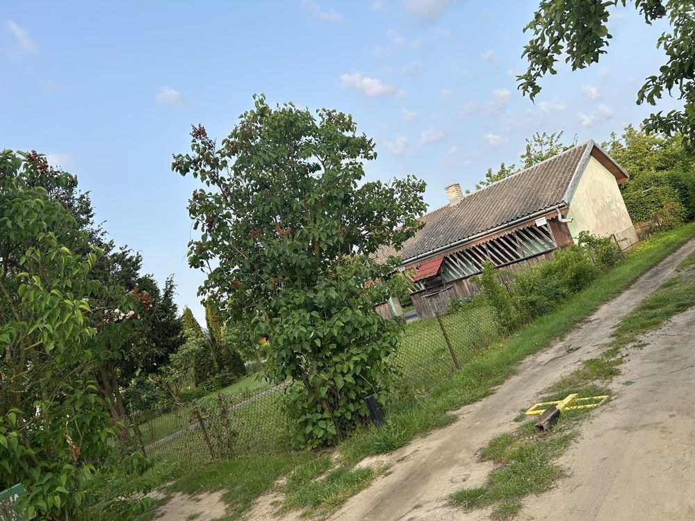 Działka ROD Mazowsze