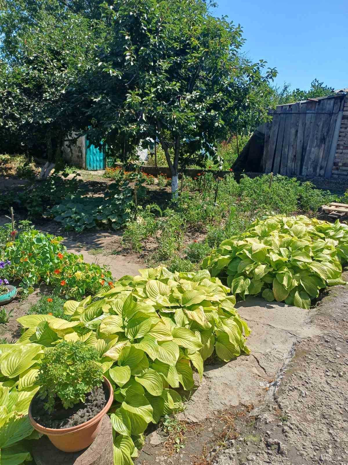 Продам дом в Диёвке по ул. Каменогорская