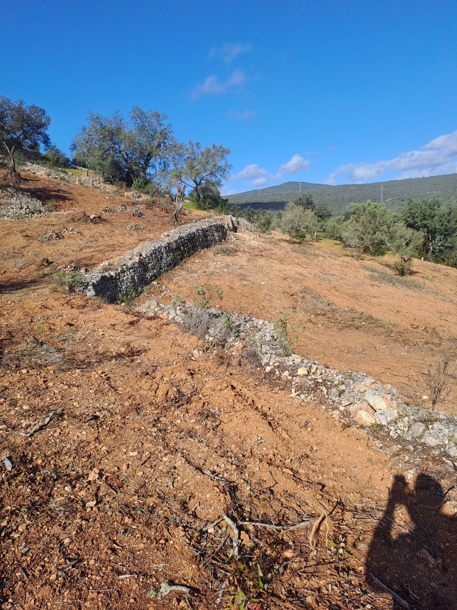 Terreno rustico bem localizado