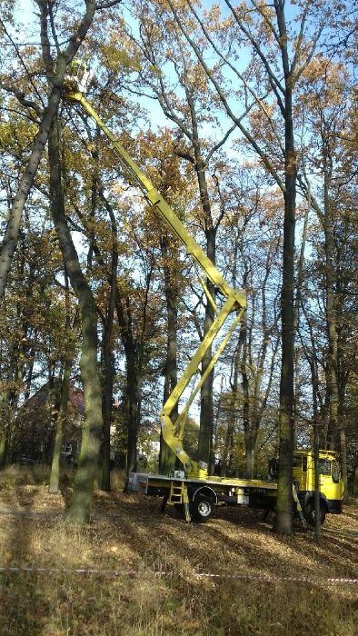 Frezowanie pni, zrębkowanie gałęzi, wycinka drzew